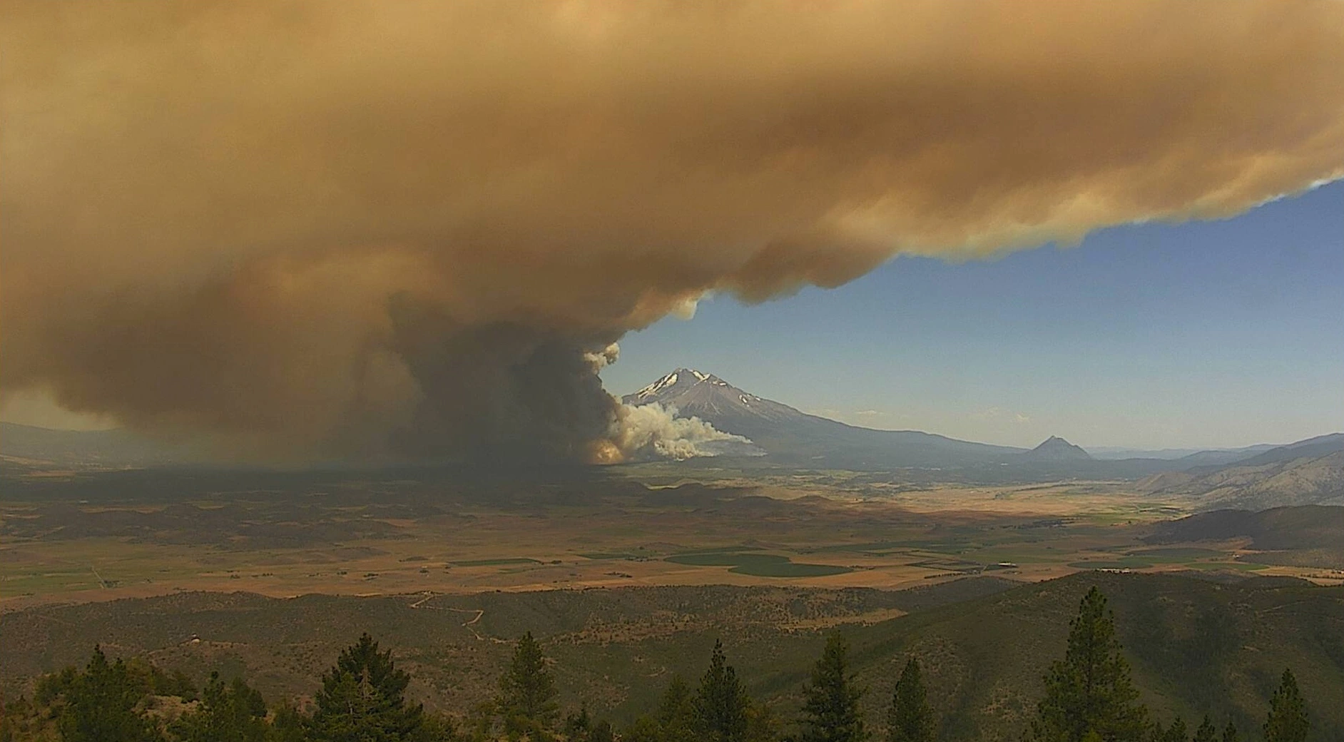 Broader Implications: The Role of Climate Conditions
