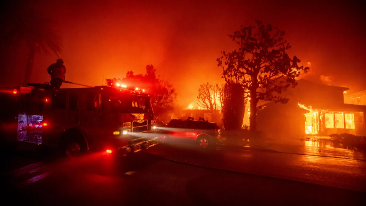 Expert Analysis on the Impact of the Wildfires