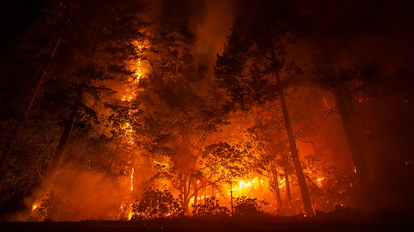 Cause of the Fire Under Investigation