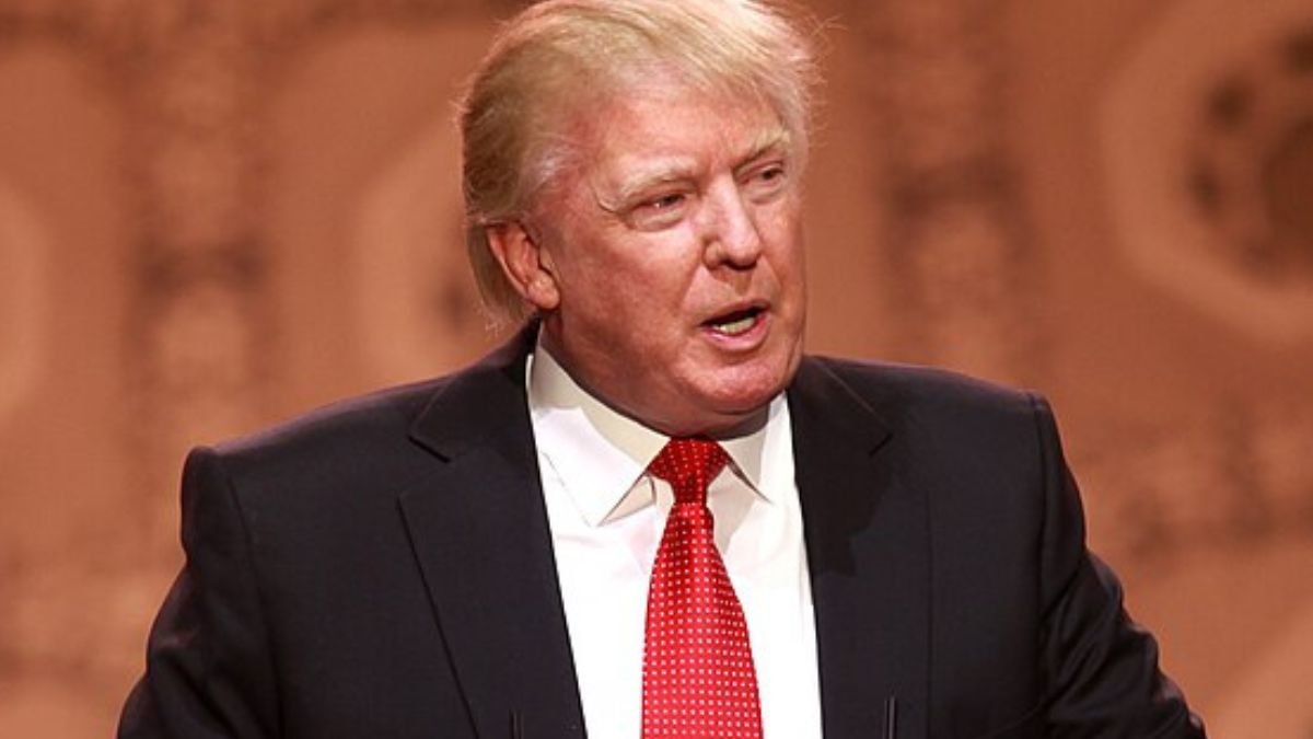 What Are The Odds Trump Will Survive? What Are The Odds Trump Will Survive?