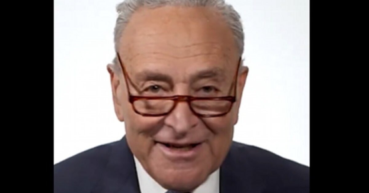 Senate Democrats Mocked Over Cringeworthy Video Where They Suddenly Claim to be Fighting for Average Americans | The Gateway Pundit Senate Democrats Mocked Over Cringeworthy Video Where They Suddenly Claim to be Fighting for Average Americans | The Gateway Pundit