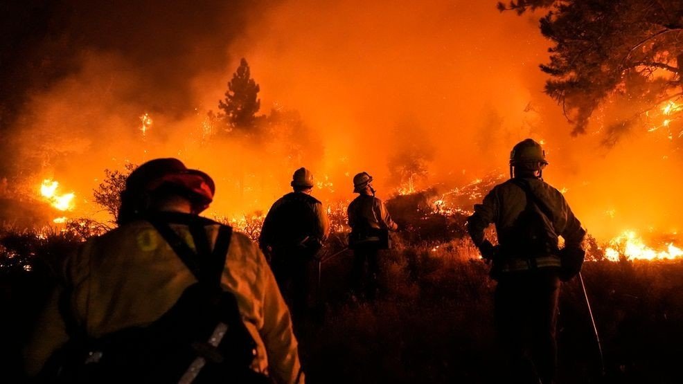 Devastation in Numbers