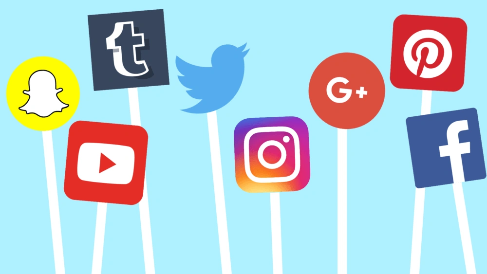 Media Reactions and Public Perception