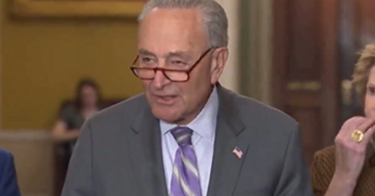 FLASHBACK: In 2009 Chuck Schumer Defended ‘Porky’ Government Spending, Saying ‘The American People Really Don’t Care’ (VIDEO) | The Gateway Pundit FLASHBACK: In 2009 Chuck Schumer Defended ‘Porky’ Government Spending, Saying ‘The American People Really Don’t Care’ (VIDEO) | The Gateway Pundit