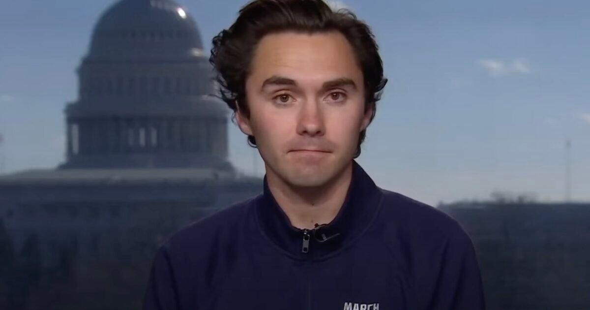 THEY’VE LEARNED NOTHING: David Hogg Picks Up More Endorsements in Race for Vice Chair of DNC | The Gateway Pundit THEY’VE LEARNED NOTHING: David Hogg Picks Up More Endorsements in Race for Vice Chair of DNC | The Gateway Pundit