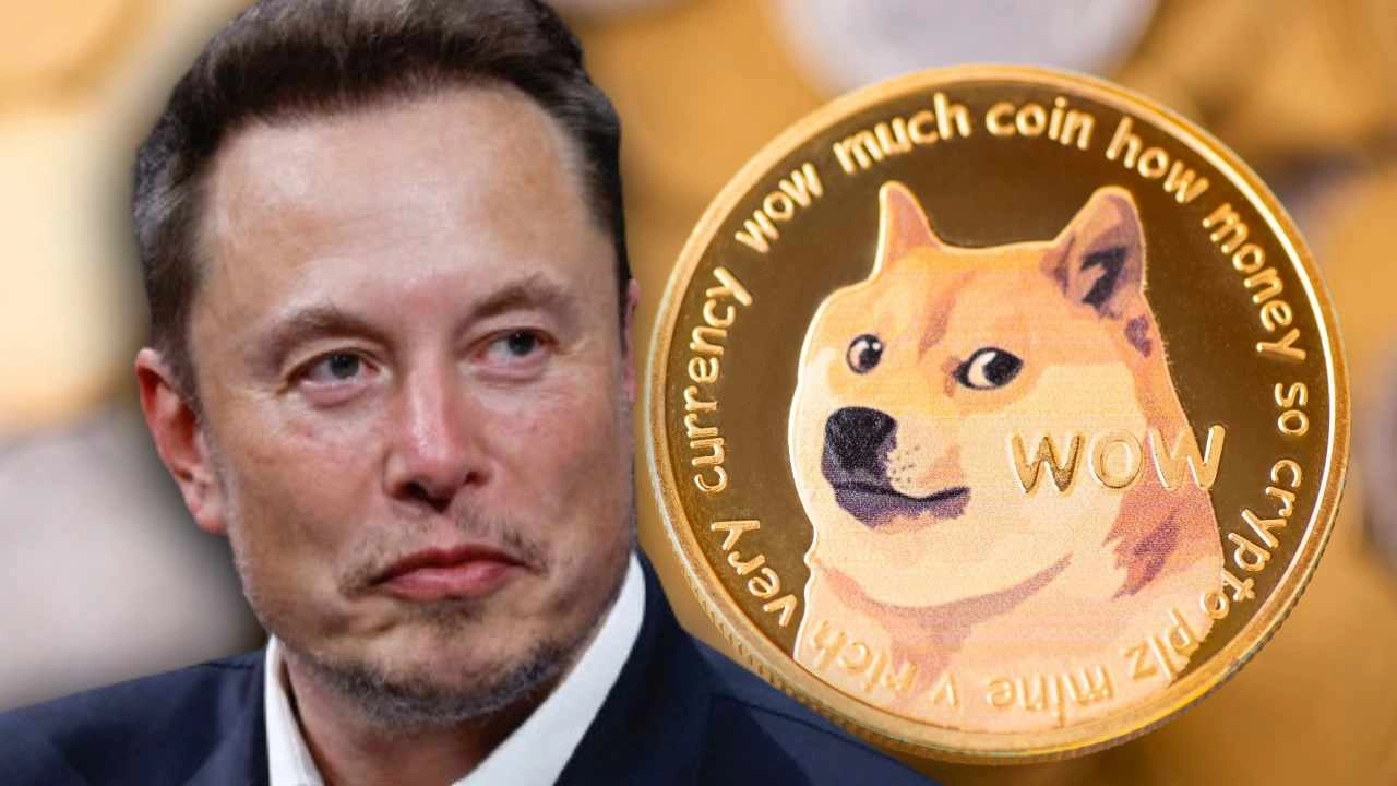 Elon Musk’s DOGE: Efficiency or Symbolism?