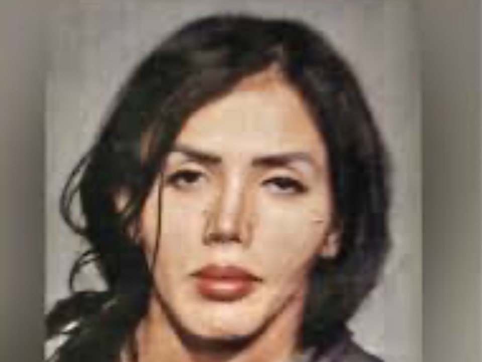 HORROR: Transgender Illegal Alien Arrested in New York For Raping Child in Public Bathroom | The Gateway Pundit HORROR: Transgender Illegal Alien Arrested in New York For Raping Child in Public Bathroom | The Gateway Pundit