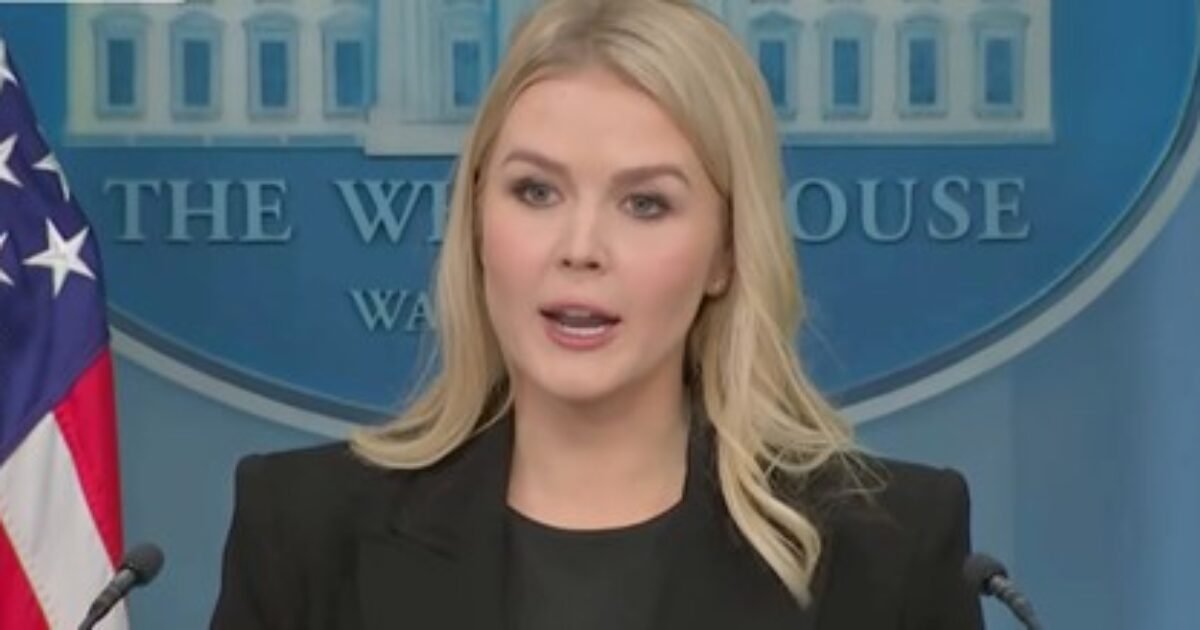 WH Press Secretary Karoline Leavitt Delivers a Brutal Reminder to Democrats Melting Down Over USAID Shutting Down – Also Cites Four More Insane Examples of USAID Waste (VIDEO) | The Gateway Pundit WH Press Secretary Karoline Leavitt Delivers a Brutal Reminder to Democrats Melting Down Over USAID Shutting Down – Also Cites Four More Insane Examples of USAID Waste (VIDEO) | The Gateway Pundit